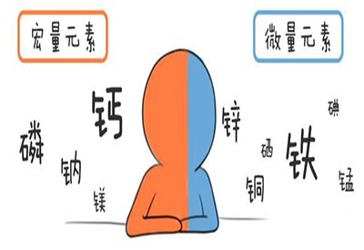 全自动优米app官网下载安装苹果介绍缺少微量元素的危害 全自动优米app官网下载安装苹果介绍缺少微量元素的危害