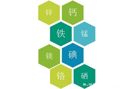 医用微量元素检测仪品牌