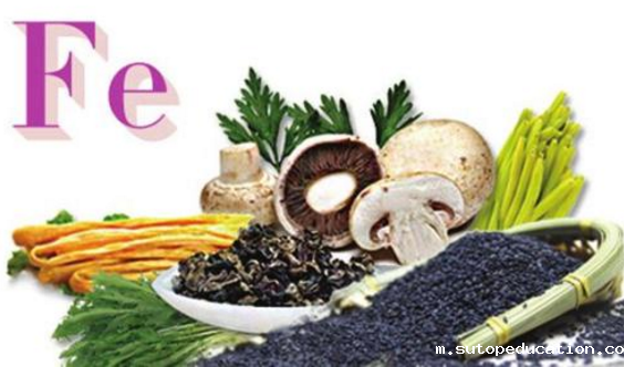 优米app官网下载安装苹果厂家分析铁的功能及生物学作用