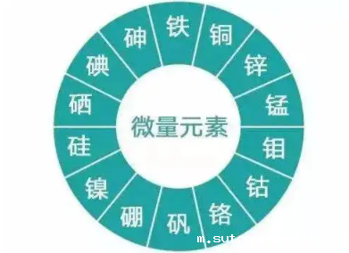 钙铁锌硒检测仪厂家